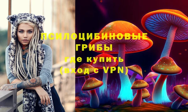 кокс Нягань