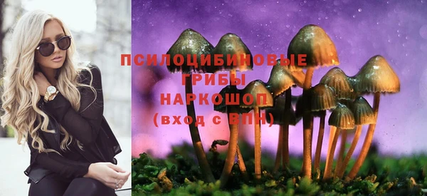 молекула духа Нязепетровск
