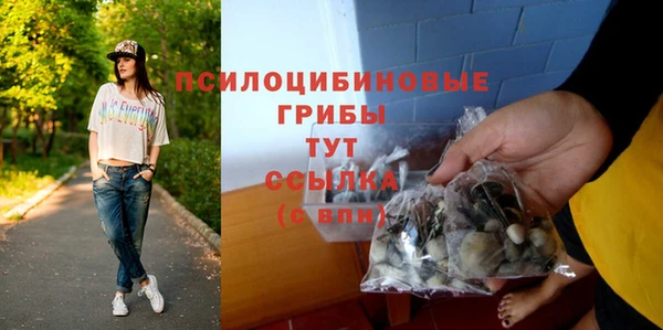 молекула духа Нязепетровск