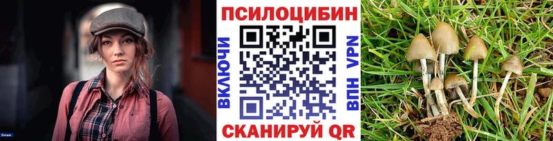 что такое   Сызрань  Галлюциногенные грибы прущие грибы 