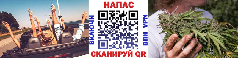 кракен tor  Сызрань  Каннабис план  цена наркотик 